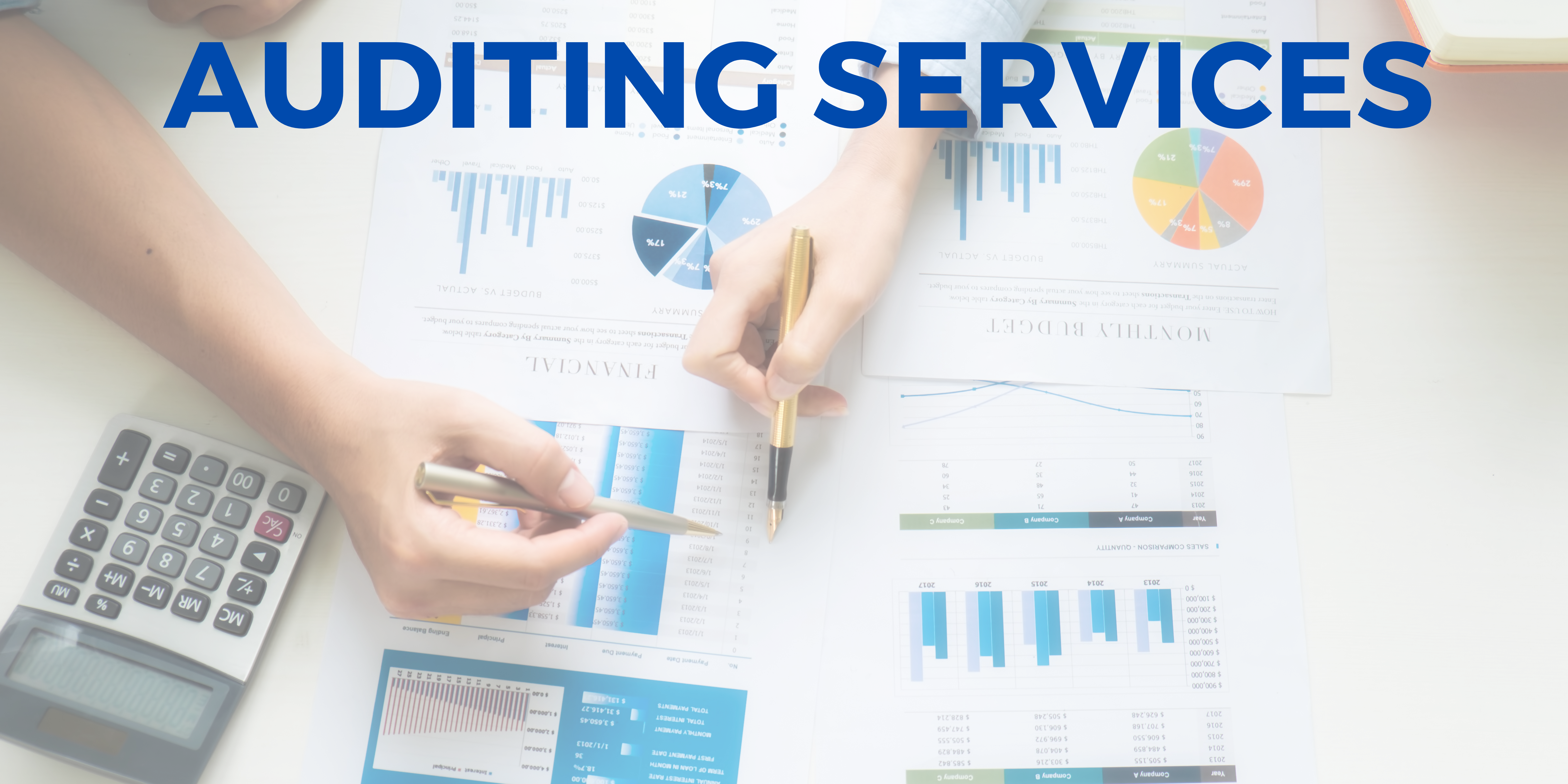 Auditing Services