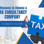 5 Reasons Why SMEs in Dubai Need a Tax Consultancy Company